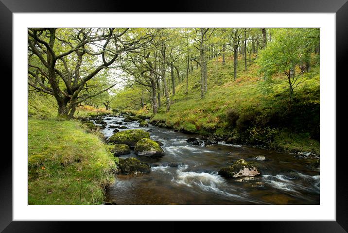 And a River flows through it Framed Mounted Print by John Malley