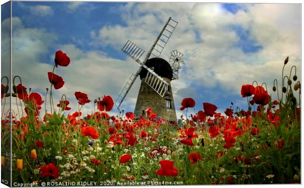 "Poppies at the windmill" Canvas Print by ROS RIDLEY