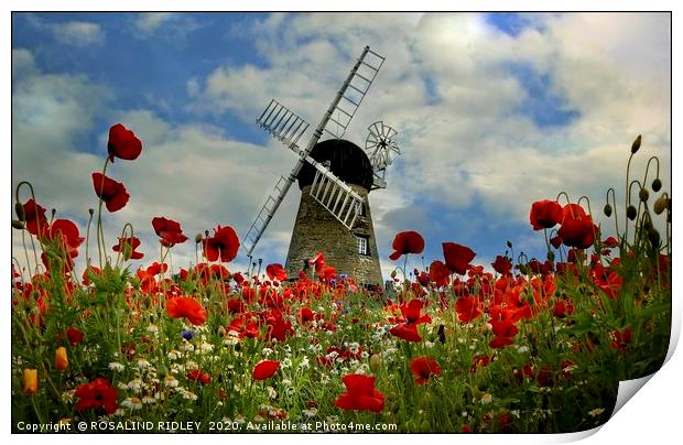 "Poppies at the windmill" Print by ROS RIDLEY