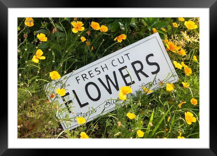 Garden flowers with fresh cut flower sign 0753 Framed Mounted Print by Simon Bratt LRPS