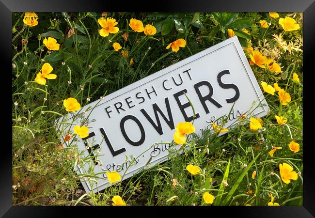 Garden flowers with fresh cut flower sign 0753 Framed Print by Simon Bratt LRPS