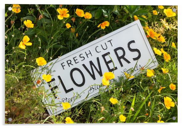 Garden flowers with fresh cut flower sign 0753 Acrylic by Simon Bratt LRPS