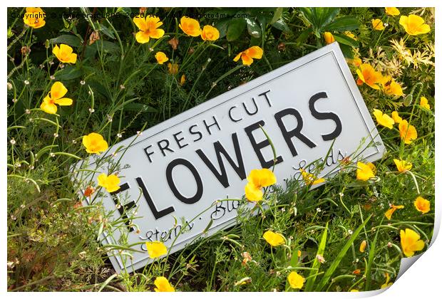 Garden flowers with fresh cut flower sign 0753 Print by Simon Bratt LRPS