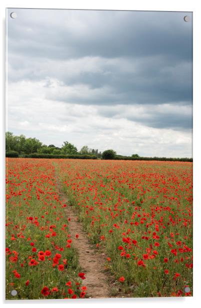 Poppy Field Acrylic by Graham Custance