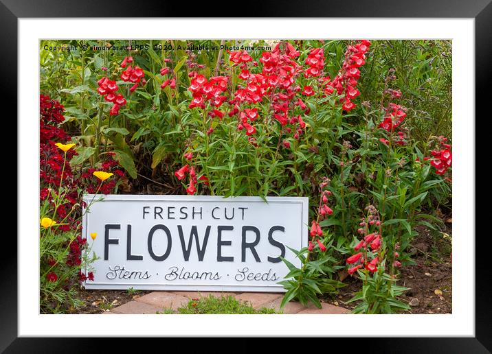 Garden flowers with fresh cut flower sign 0758 Framed Mounted Print by Simon Bratt LRPS