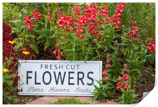 Garden flowers with fresh cut flower sign 0758 Print by Simon Bratt LRPS