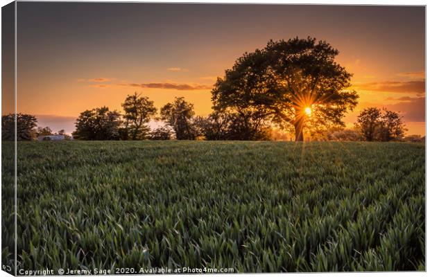 Enchanting Sunset Over Kent Canvas Print by Jeremy Sage