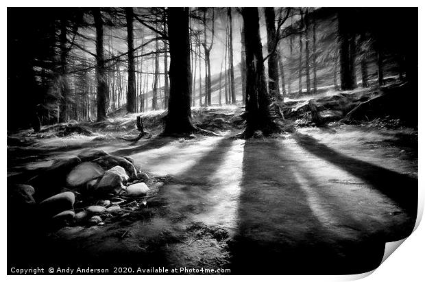 Mystery Scottish Grove Print by Andy Anderson