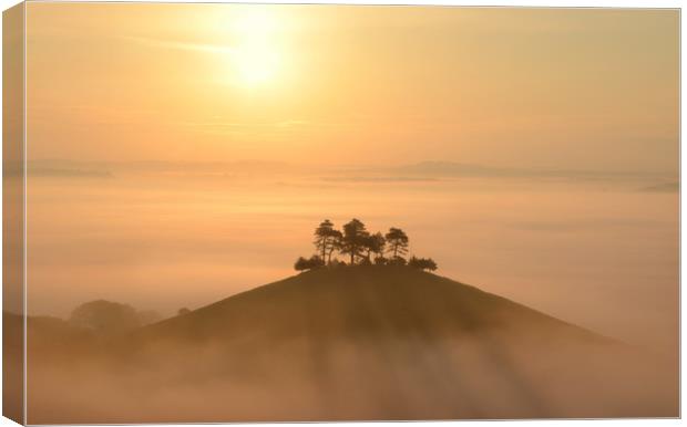 Shadows in the Mist Canvas Print by David Neighbour
