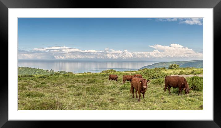 Clouds Reflected in Bristol Channel Framed Mounted Print by Shaun Davey