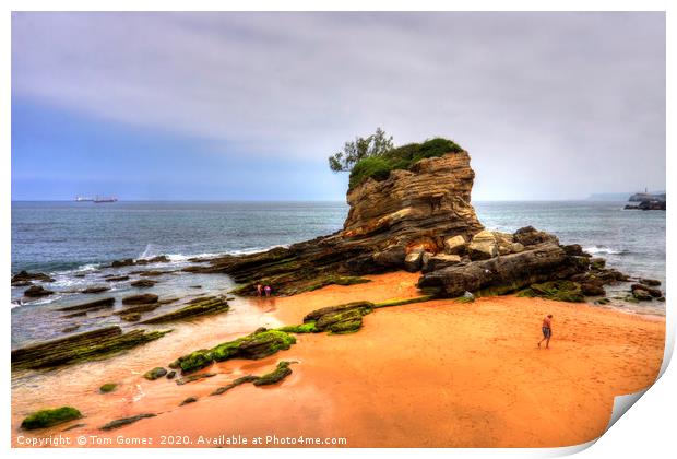 Rock Formation at Playa del Camello Print by Tom Gomez