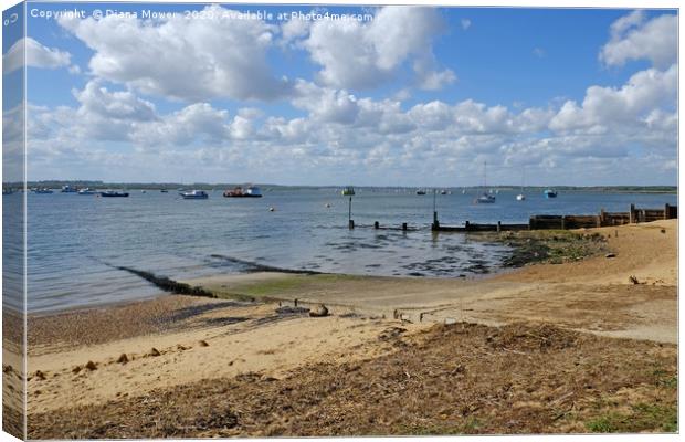 Bawdsey Quay Canvas Print by Diana Mower