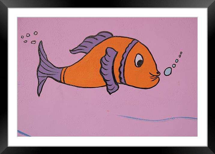 Swimming around Framed Mounted Print by lyn baker