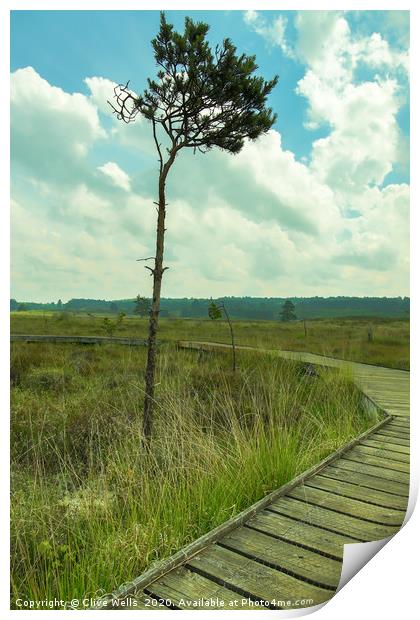 Lone tree next to boardwalk at wolverton in Norfol Print by Clive Wells