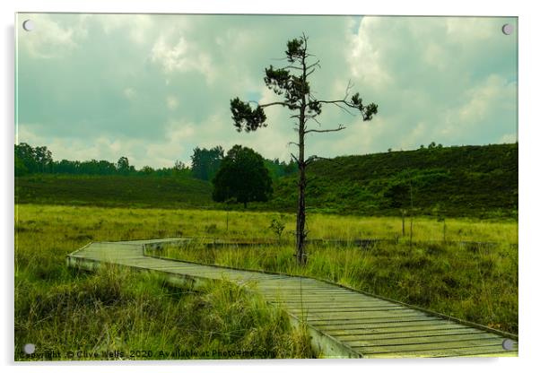 Boardwalk with single small tree at Wolverton in N Acrylic by Clive Wells