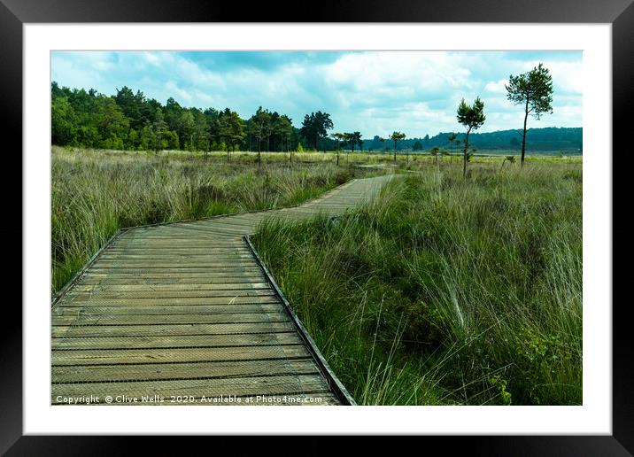 View along the boardwalk at Wolverton in Norfolk Framed Mounted Print by Clive Wells