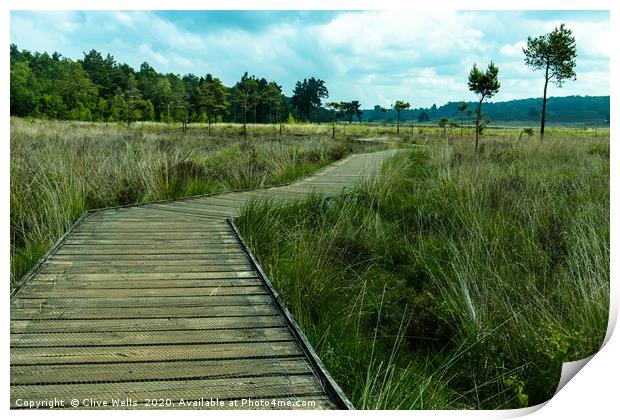View along the boardwalk at Wolverton in Norfolk Print by Clive Wells