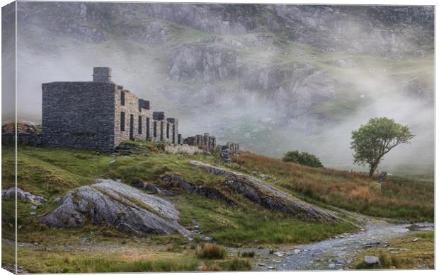 The remains of Cwmorthin cottages Canvas Print by Rory Trappe
