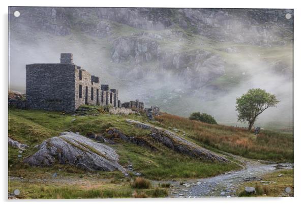 The remains of Cwmorthin cottages Acrylic by Rory Trappe