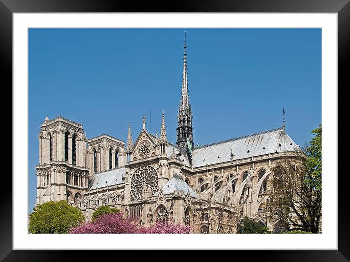 Notre Dame Framed Mounted Print by Geoff Storey