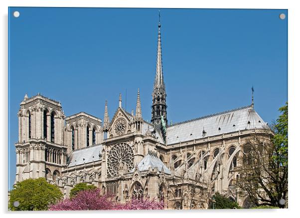 Notre Dame Acrylic by Geoff Storey