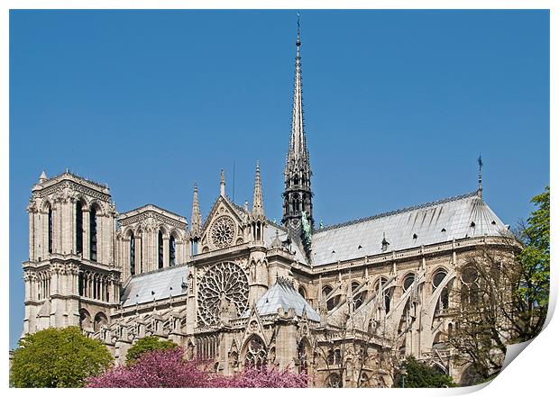 Notre Dame Print by Geoff Storey