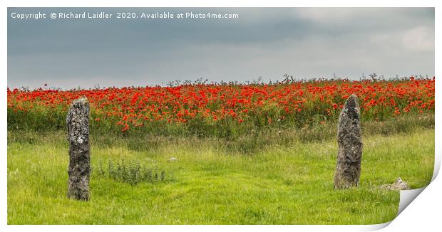 Poppy Gateway Print by Richard Laidler