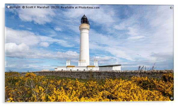 Lossiemouth Covesea Lighthouse   Acrylic by Scott K Marshall