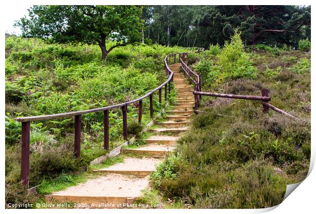 Path leading up to the top level seen at Wolverton Print by Clive Wells