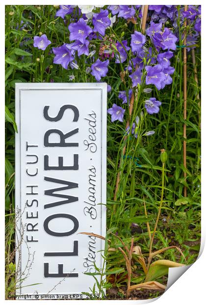 Garden flowers with fresh cut flower sign 0722 Print by Simon Bratt LRPS