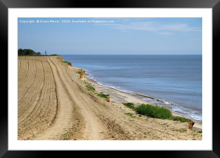 The path to Covehithe Beach Framed Mounted Print by Diana Mower