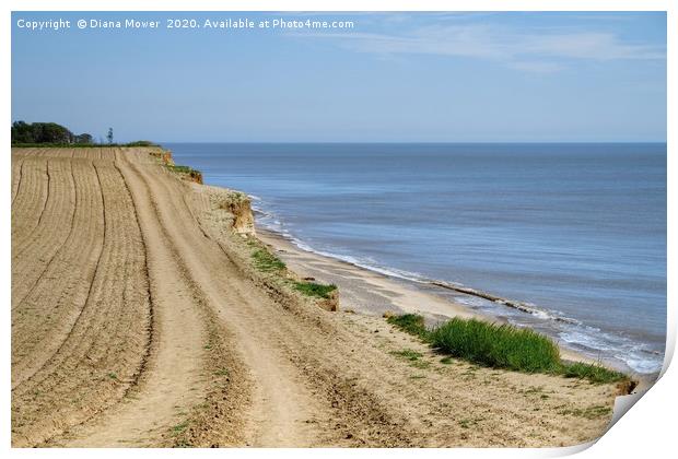 The path to Covehithe Beach Print by Diana Mower