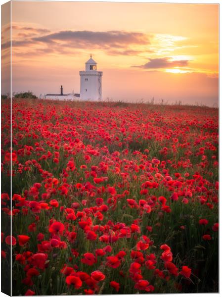 White Cliffs of Dover Poppy Field (For Charity) Canvas Print by Daniel Farrington