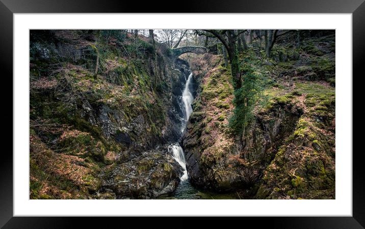 Aira Force's White Ribbon Framed Mounted Print by John Malley