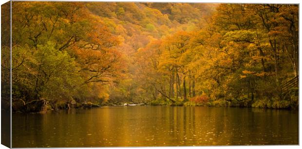 Golden Brown Canvas Print by John Malley