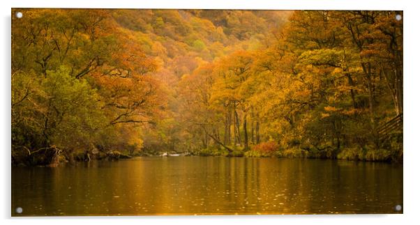 Golden Brown Acrylic by John Malley