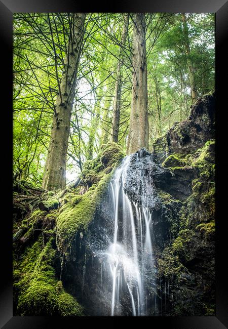 Wild waters within the dark woods Framed Print by Steve Taylor