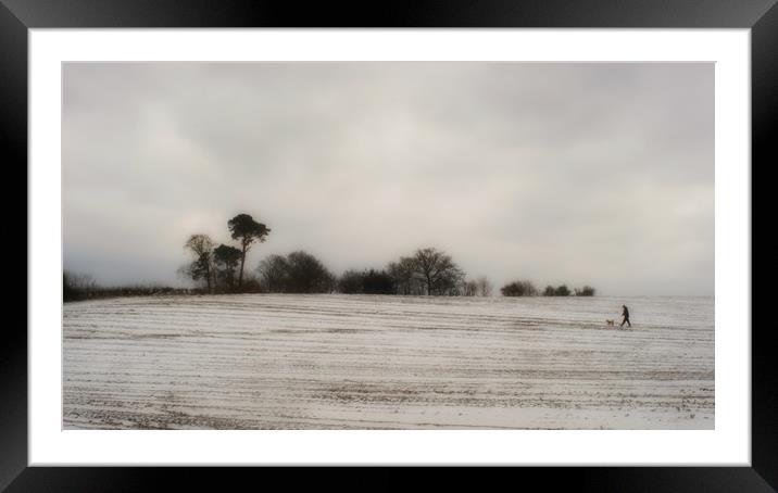 Brown dog, cold man, long walk.  Framed Mounted Print by Steve Taylor