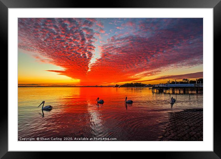 Bribie Island Sunset Framed Mounted Print by Shaun Carling