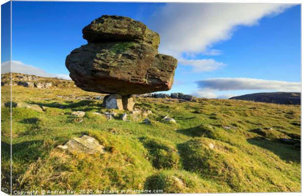 Norber Erratics Canvas Print by Andrew Ray
