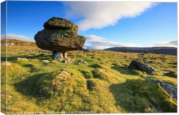 Morning at the Norber Erratics Canvas Print by Andrew Ray