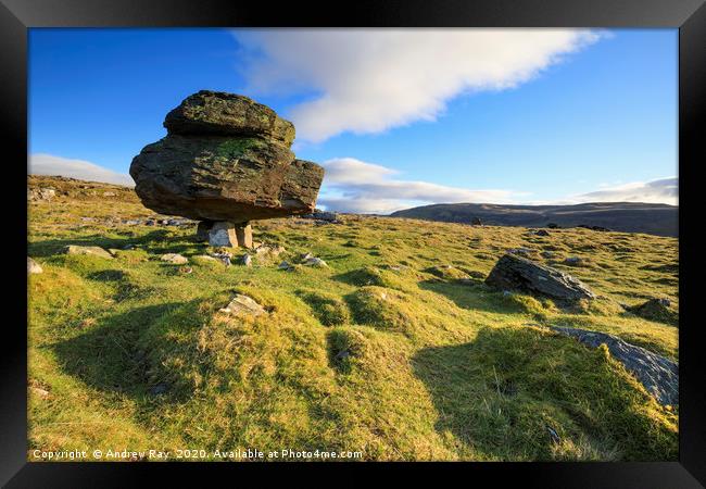 Morning at the Norber Erratics Framed Print by Andrew Ray