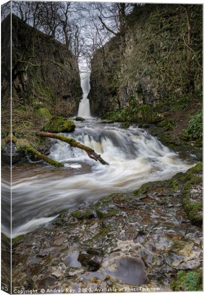 Catrigg Force Waterfall Canvas Print by Andrew Ray