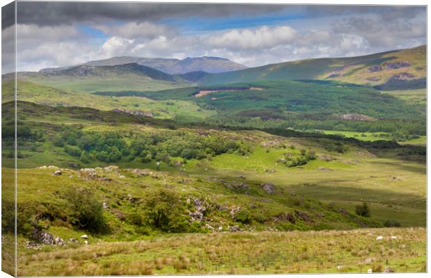 Rugged Countryside Canvas Print by David Hare