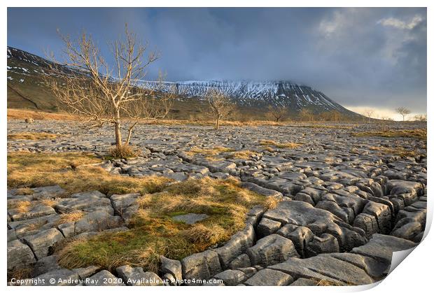 Late light at Southerscales Print by Andrew Ray