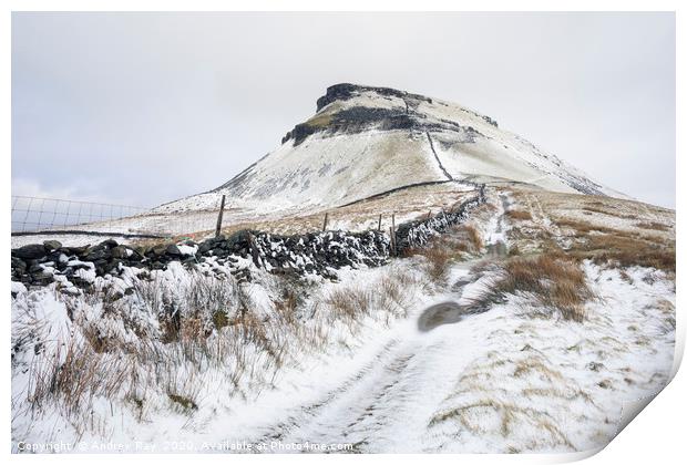 Snow on Pen-y-ghent Print by Andrew Ray