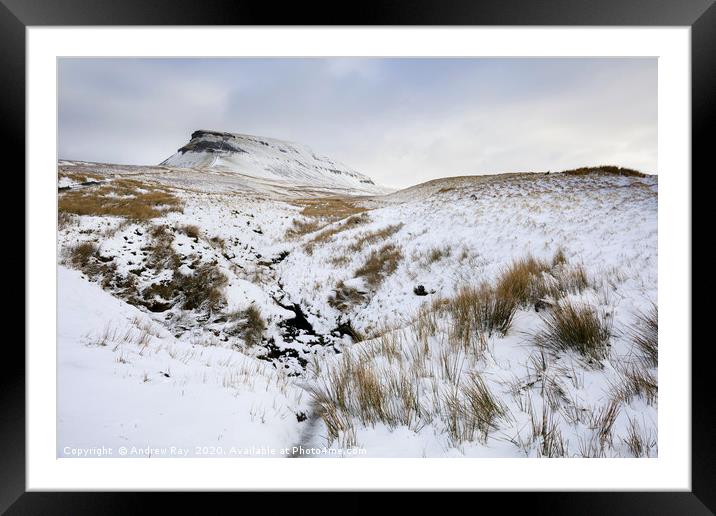 Snow at Pen-y-ghent Framed Mounted Print by Andrew Ray
