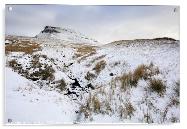Snow at Pen-y-ghent Acrylic by Andrew Ray