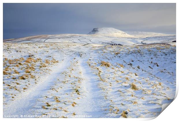 Track toward Pen-y-ghent Print by Andrew Ray