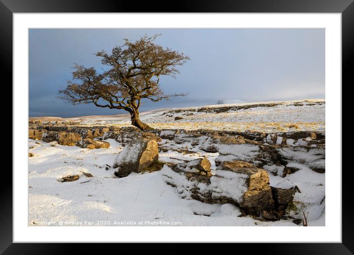 Snow at the Winskill Stones Framed Mounted Print by Andrew Ray